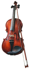 violin